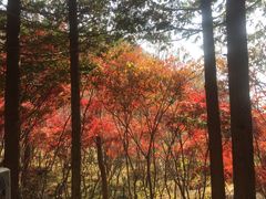 -崂山巨峰游览区