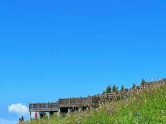 -白草畔自然风景区