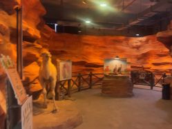 -酷嗒动物文化乐园(cutezoo西溪乐天城店)