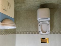 -金山农民画村-枫泾波兰倒置屋