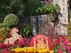 -广州市流溪河国家森林公园