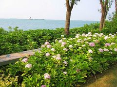 -上海滴水湖皇冠假日酒店