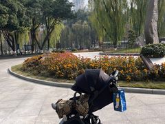 -温江公园