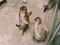 -成都欢乐谷