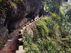 -青城山