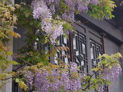 -老门东历史文化街区
