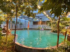 -南宫五洲植物乐园