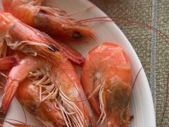 -视界美食自助餐厅·石家庄希尔顿酒店