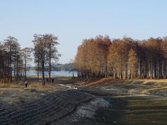 -四明湖