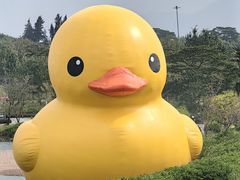 -深圳人才公园