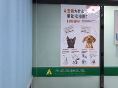 -半岛宠物医院24小时(科华中路店)
