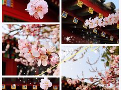 -北海公园