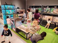 -FAIRYLAND龙族星球主题餐厅(凯丹广场店)