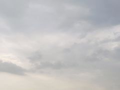 -合肥滨湖国家森林公园