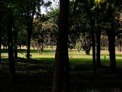 -洛阳市隋唐城遗址植物园