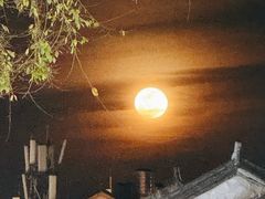 -段公子·精品云南菜