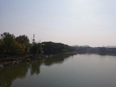 -大兴滨河森林公园