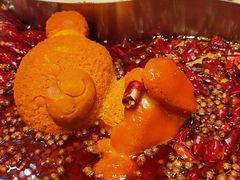 -红辣椒·川菜·火锅(张杨路店)