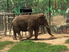 -西安秦岭野生动物园