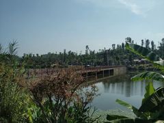 -枫香湖儿童公园