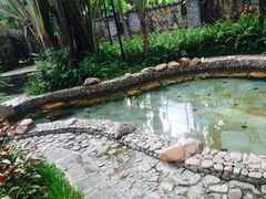 -七仙岭君澜度假酒店·桃源小馆中餐厅
