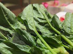 -海底捞火锅(宝龙广场夜宵主题店)