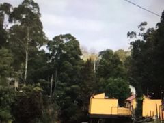 -普芬比利蒸汽火车