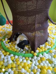 -宝燕乐园(闵行旗舰店)