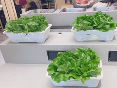 -九孔·筒骨莲藕汤锅(大明宫万达店)