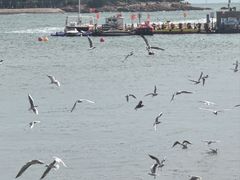 -李沧绿城喜来登酒店大堂吧