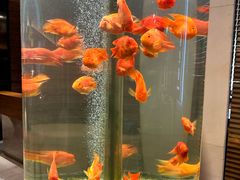 -红鱼湾餐厅(国际大厦店)