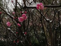 -汇龙潭