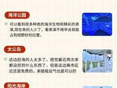 -日照海滨国家森林公园