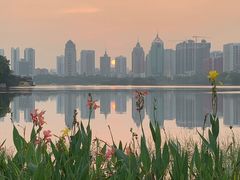 -南宁南湖公园
