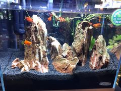-辣家私厨火锅·龙虾(开发区店)
