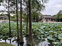 -惠州西湖风景名胜区-丰渚园