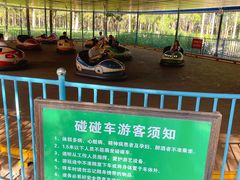 -东平国家森林公园