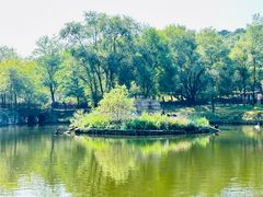 -沈阳森林动物园