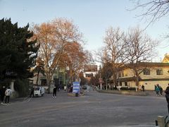 -麦雪尔甜品·生日蛋糕(新街口旗舰店)