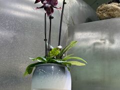 -云溪植物园