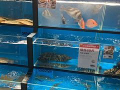 水产区-盒马鲜生(曜一城店)