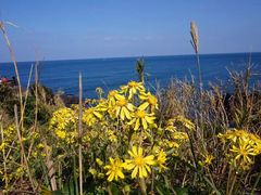 -龙头岩(Dragon Head Rock)