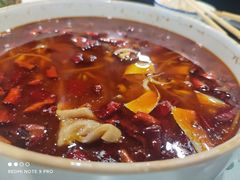 -听涛雅苑百味饺子老家菜馆