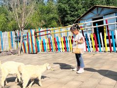 -西部长青自然儿童乐园