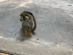 -西安秦岭野生动物园