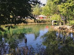 -长白岛森林公园