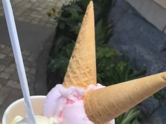 -Vola Gelato意大利手工冰淇淋(朝阳大悦城店)