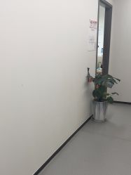 -联合丽格·张菡丽格医疗美容