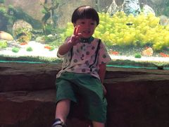 -重庆欢乐海底世界