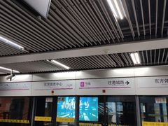 -东方体育中心(地铁站)